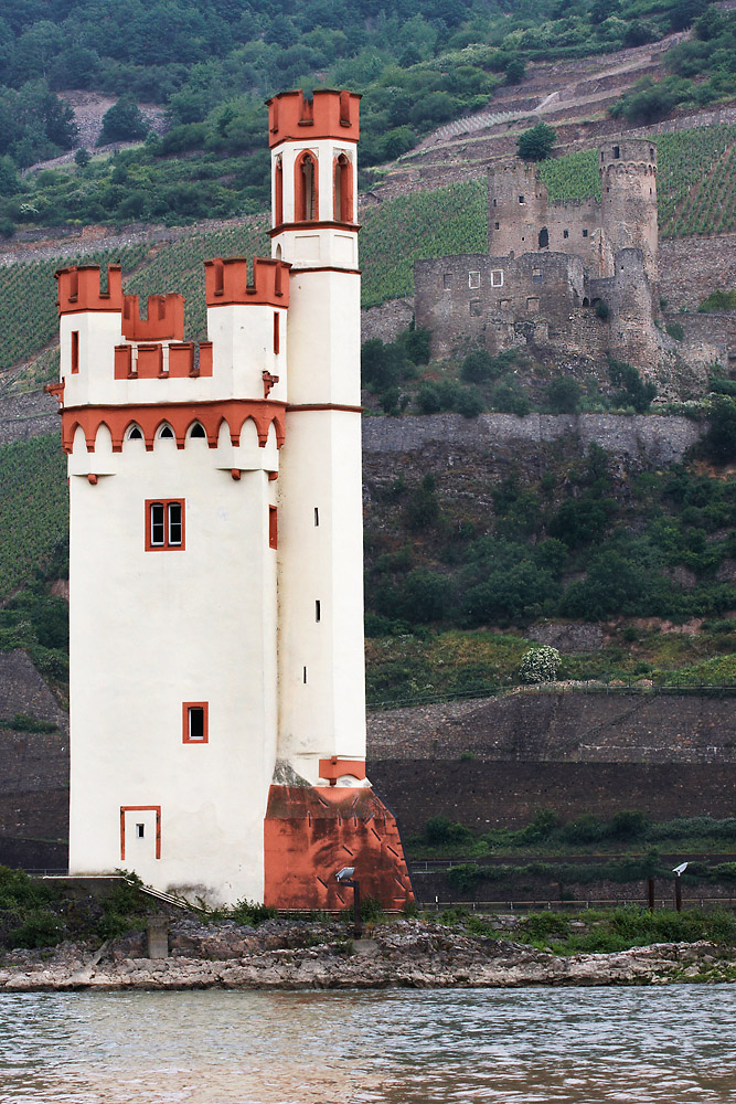 Museturm und Burgruine Ehrenfels